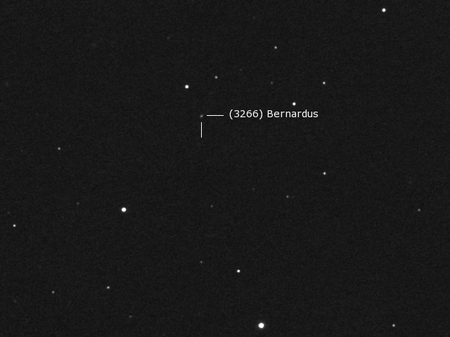 Kleinplanet (3266) Bernardus