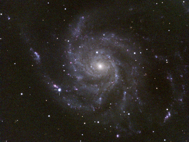 Supernova 2023ixf in M 101 in UMa