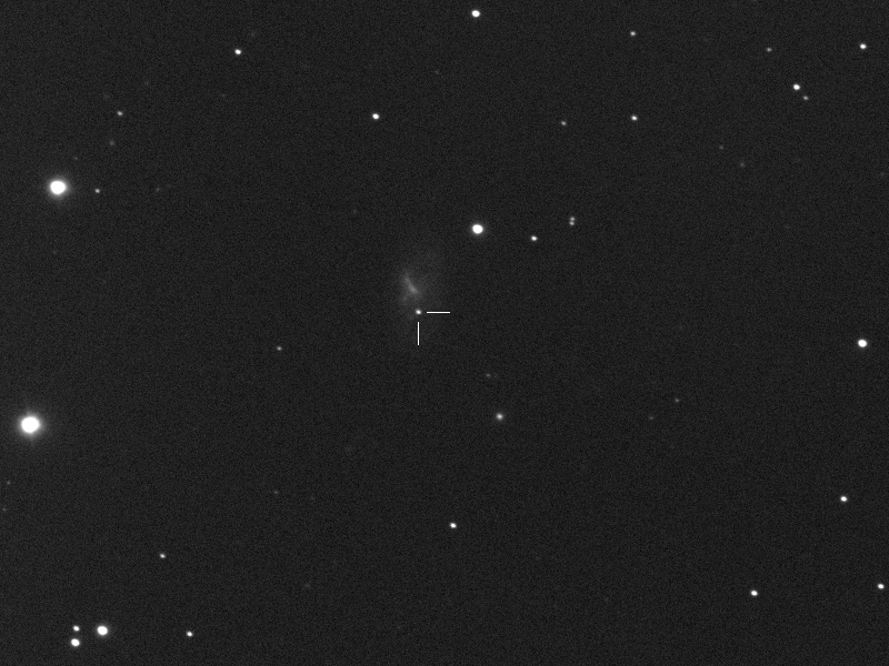 Supernova 2020qxp (=ASASSN-20jq) in NGC 5002 in CVn