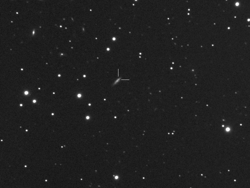 Supernova PSN J02490078+1544058 in UGC2289