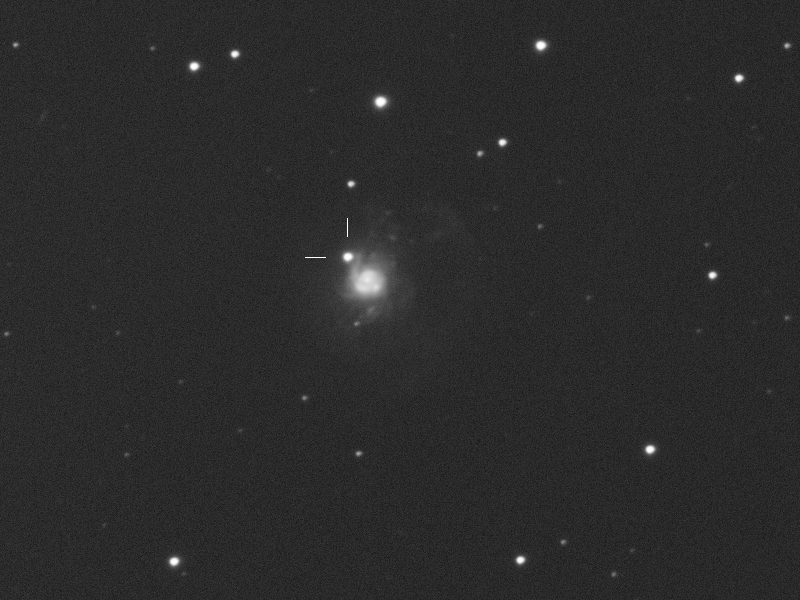Supernova 2026sqf in NGC 3310 in UMa am 10.07.2026