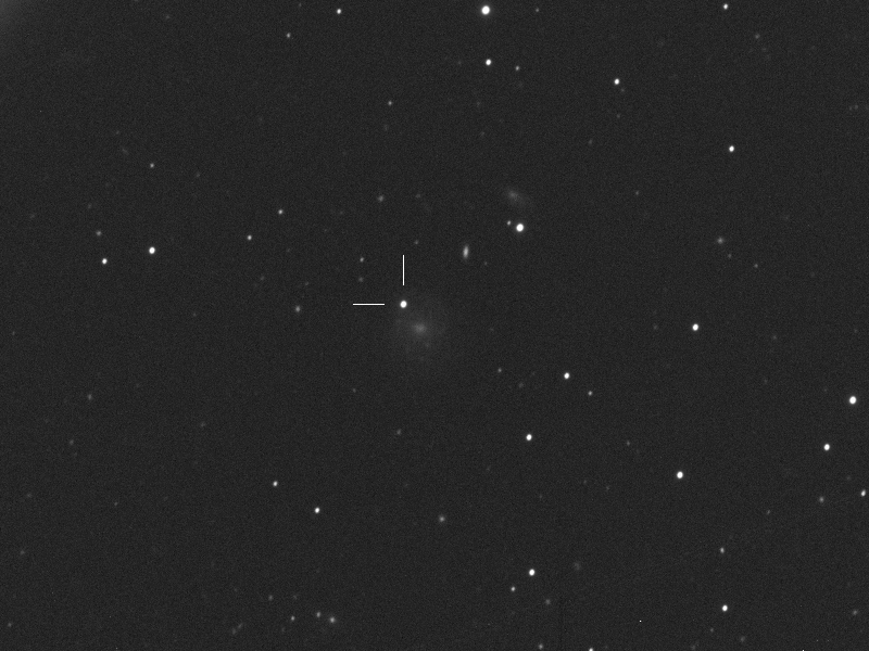 Supernova 2024exw in UGC 7223 am 02.04.2024